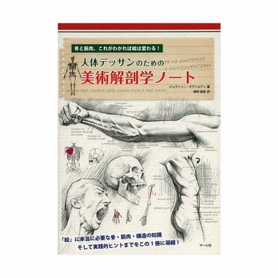 新品本 人体デッサンのための美術解剖学ノート 骨と筋肉 これがわかれば絵は変わる ジョヴァンニ チヴァルディ 著 榊原直樹 訳 通販 Lineポイント最大get Lineショッピング