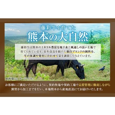 ふるさと納税 藤彩牛 ロース 焼き肉用 300g (300g×1パック) くまもと食彩の力 《180日以内に順次出荷(土日祝除く)》 熊本県 長洲町 くまも.. 熊本県長洲町