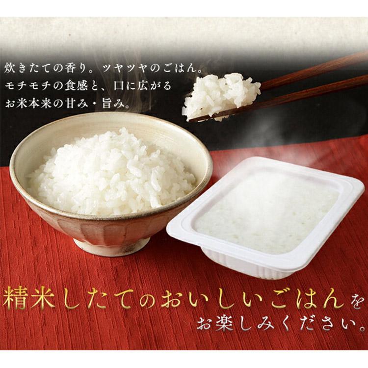 パックご飯 レトルトご飯 米 ごはん パック ごはんパック レンジ 180g 6食 セット あきたこまち 非常食 保存食 新生活