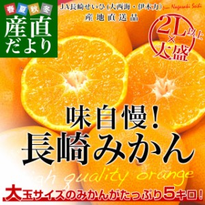 長崎県より産地直送 JA長崎せいひ 長崎みかん ２L以上の大玉 5キロ（20玉から35玉前後） 蜜柑 ミカン　送料無料　御歳暮 お歳暮