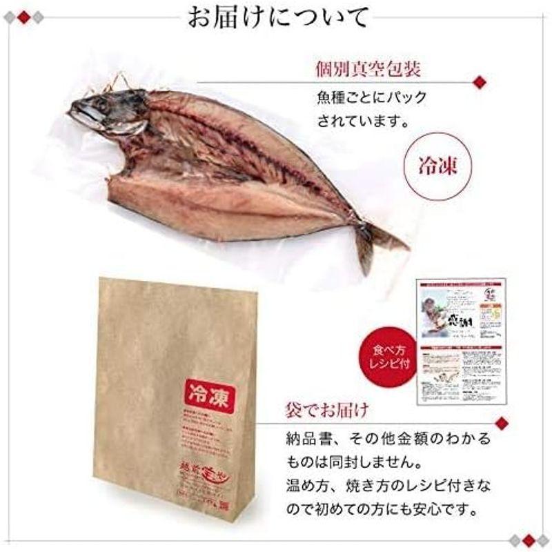 サバ 干物 巨大 特大 自宅用 さば 3枚冷凍 鯖 一夜干し 越前宝や