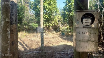 中寮永和國小農地4.74分｜南投縣中寮鄉水寮段