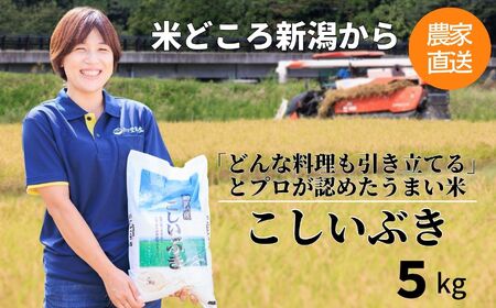 『新潟産こしいぶき5kg』プロが認めたうまい米 新潟産コシイブキ 新潟県糸魚川産 農家直送 おいしいお米をお届けします。