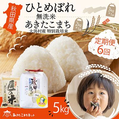 ふるさと納税 秋田市 秋田県産無洗米(ひとめぼれ3kg・大潟村ふると米2kg)セット 全6回