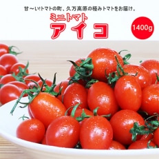 愛媛県久万高原町産 ミニトマト(品種:アイコ)　1.4kg