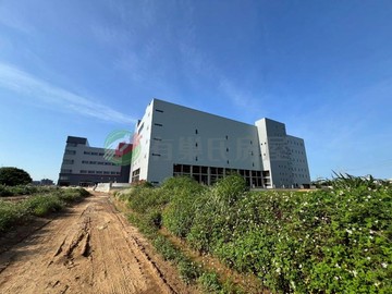 青埔特區A20旁優質大面積美農地｜桃園市中壢區芭里段