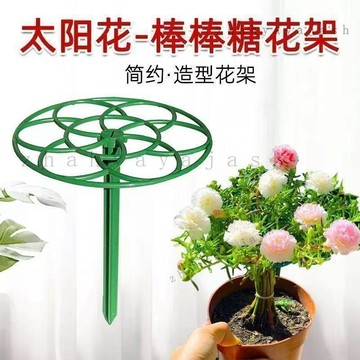 🚚【臺灣出貨】免運可開發票太陽花棒棒糖支架單層多層支撐架植物造型爬藤固定架蟹爪蘭支撐杆