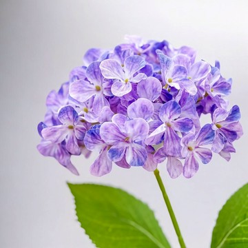 FLORAL M 夏日京都大型繡球仿真花花材  星黛紫  1個