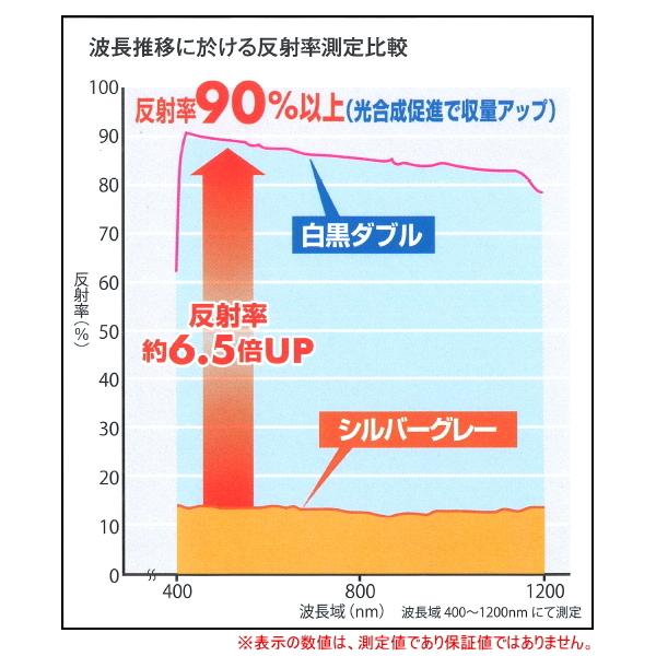 日本ワイドクロス　アグリシート白黒ダブル　(高反射防草シート)　幅1m×長さ50m　格子ライン入り　雑草抑制 雑草対策 ハウスの防草除草に