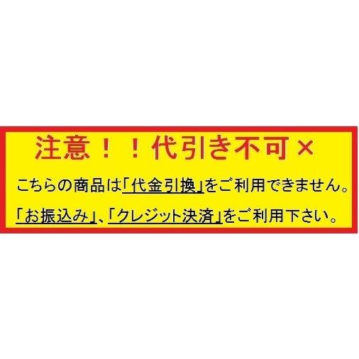 タイガーカワシマ　苗箱洗浄機　洗ちゃん　NBC-305　苗箱 洗浄 苗箱洗い 田植え