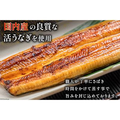 ふるさと納税 吉田町 国産うなぎ蒲焼詰合せ4尾