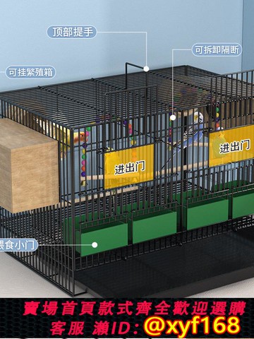 {可打統編 保固一年}可掛繁殖箱鳥籠子大號家用鸚鵡用品虎皮玄鳳八哥鳥籠子帶隔斷雙間