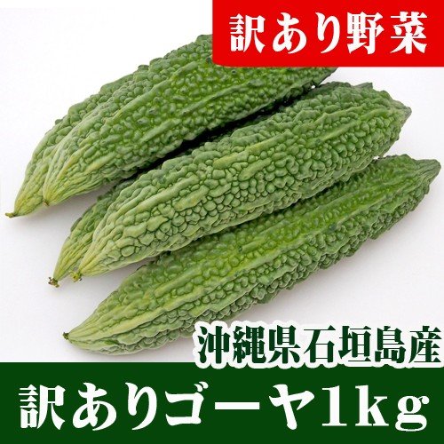 訳ありゴーヤ 苦瓜 1ｋｇ 2〜7本　沖縄石垣島産