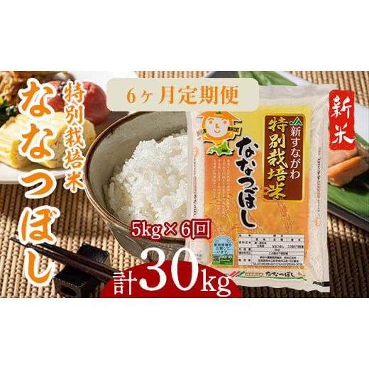 ふるさと納税 北海道 奈井江町 『特別栽培米ななつぼし5kg』定期便！毎月1回・計6回お届け