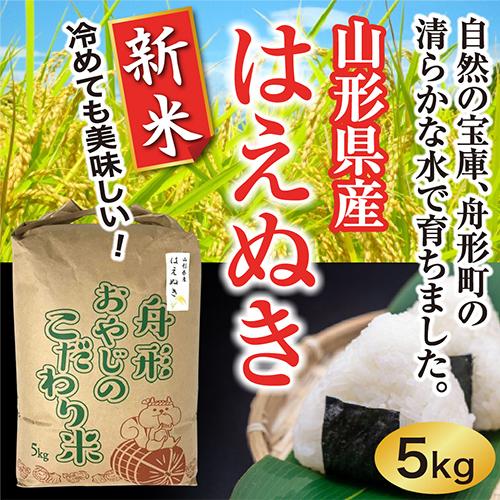 はえぬき新米5ｋｇ　山形県産　令和5年産　精白米　送料無料（沖縄離島除く）産直