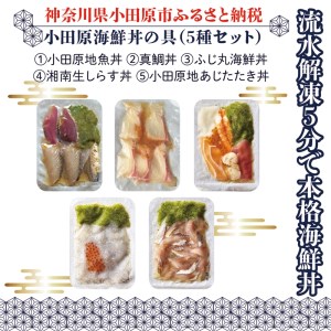 小田原海鮮丼の具（5種セット）