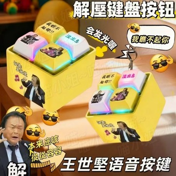 現貨全網最低價從從容容語音按鍵 沒出息 發光鑰匙圈 王世堅語音按鍵 解壓神器 解壓 解壓按鍵 我瞧不起你語音吊飾