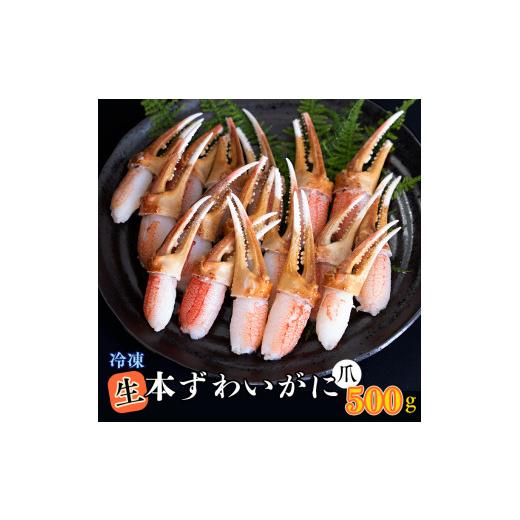 ふるさと納税 茨城県 大洗町 生冷 本ずわいがに 爪 500g×1 カジマ ずわい蟹 ズワイガニ ずわいがに かに カニ 蟹 かに爪 カニ爪 蟹爪