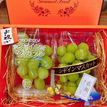 [秋果寄情]【帕查嬤嬤】  🍇雙峰麝香--山梨麝香葡萄〡長野麝香葡萄🌕🎁〡日本精緻水果禮盒