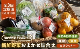 新鮮野菜・加工品 おまかせ詰め合わせ[HAG016]