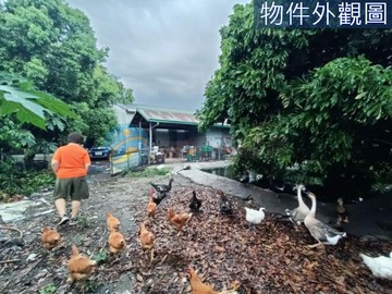 長治鄉臨路美農地農舍｜屏東縣長治鄉昌榮段