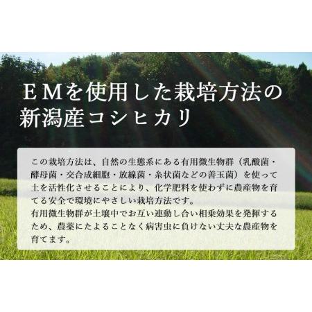 ふるさと納税 新潟産コシヒカリ有機栽培米10kg 令和5年産 有機JAS認証 新潟県