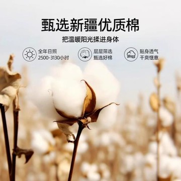 秋冬季新疆棉花被被子冬被加厚保暖棉被單人春秋被純棉花被芯棉絮