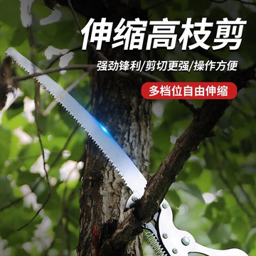 進口高枝剪高枝鋸伸縮高空修枝剪剪樹枝修剪園林加長果樹修枝剪刀 夢露日記
