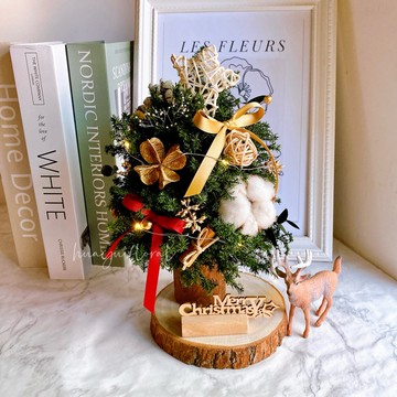 快速出貨)永生花 乾燥 永生雪松 聖誕樹 璀璨金 聖誕禮盒 禮物