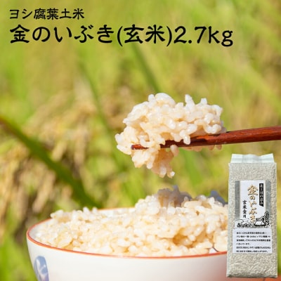 令和5年産  玄米 宮城県産 ヨシ腐葉土米 金のいぶき 2.7kg(900g×3)