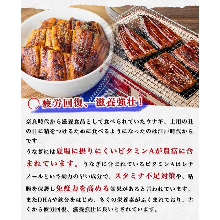 うなぎ 業務用 ばら売り 特大うなぎ 蒲焼 1尾 1本 220g タレ付き ウナギ 鰻 送料無料 食品 お歳暮 ギフト うな飯 10%クーポン