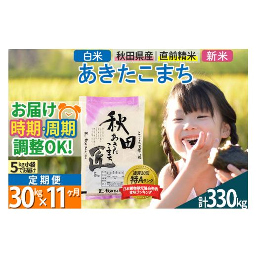 ふるさと納税 秋田県 仙北市 ＜新米＞ 《定期便11ヶ月》秋田県産 あきたこまち 30kg (5kg×6袋)×11回 令和5年産 時期選べる30キロ お米