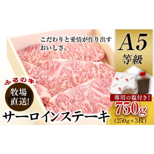 ふるさと納税 福岡県 鞍手町 ふるの牛（黒毛和牛）特選サーロインステーキ 750g(250g×3枚) ゲランド塩付き A5 有限会社ふるの《30日以内に順次出荷(土日祝除…