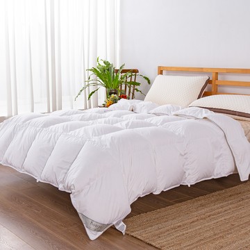 日規JIS70/30奧登斯白鴨絨羽絨被-單人5X7尺 / 潔淨度1000+ / FP500