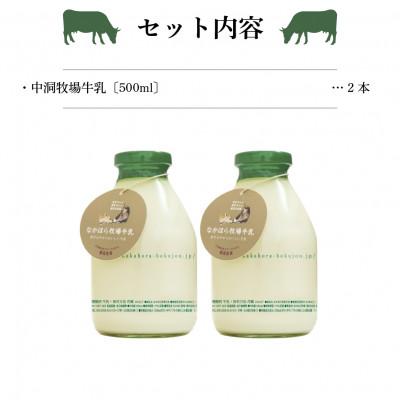 ふるさと納税 岩泉町 なかほら牧場牛乳〔500 ml〕2本セット