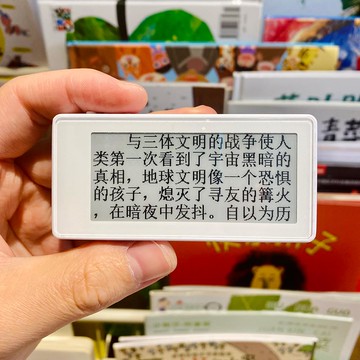 {可刷卡 打統編}掌上閱讀器 迷你mini閱讀器 2.9寸墨水屏電紙書小說摸魚神器DIY