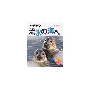 翌日発送・アザラシ流氷の海へ 広崎芳次