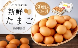 鶏卵 30ヶ入×3回 合計90個 たまご  福岡県産