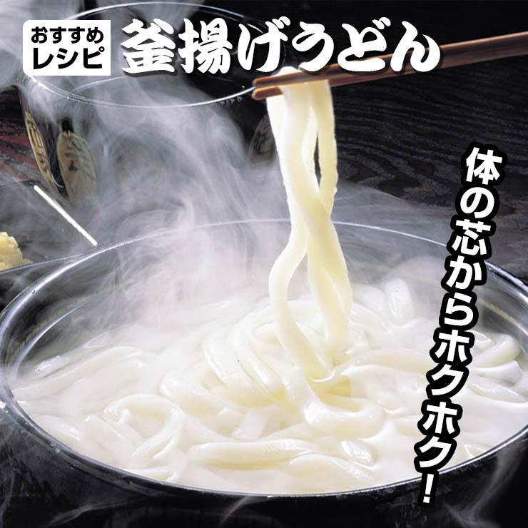 20時間熟成  半生 讃岐うどん 3種麺 つゆ付きセット 便利な個包装 750g 送料無料 最安値挑戦 得トクセール 特産品