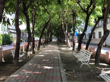 建工大昌商圈醒目/黃金地段前路後巷/收租透天店面｜高雄市三民區建工路