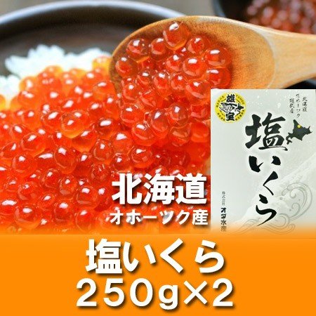 いくら 塩漬け 北海道 いくら 500g 250g×2 北海道 イクラ 塩漬け ギフト いくら 贈答品 魚介類 海産物 イクラ 魚卵 いくら