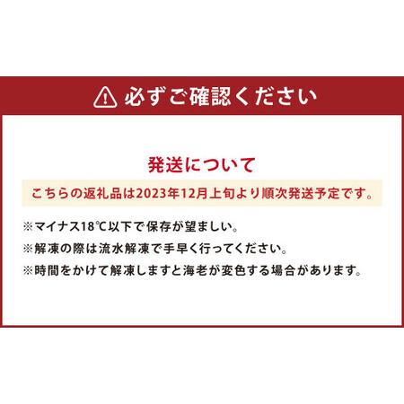 ふるさと納税 天草産 活〆冷凍 車海老 500g(特大) 熊本県上天草市