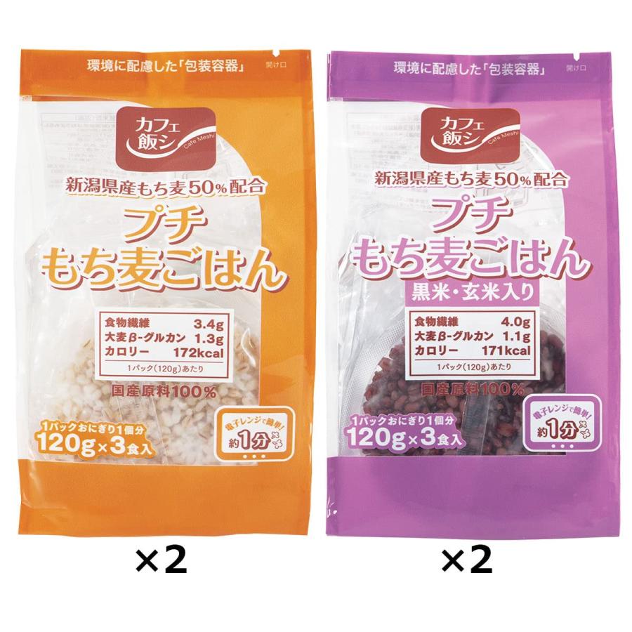 プチもち麦ごはん 2種計12食 2種各(120g×3)×各2 ごはんパック もち麦 新潟県産 ヘルシー 黒米 玄米