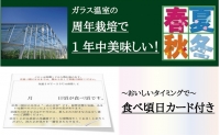 クラウンメロン　特大玉（約1.5kg～2.0kg）×2玉