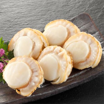 低脂肪鮮甜海味熟凍帆立貝熱銷組