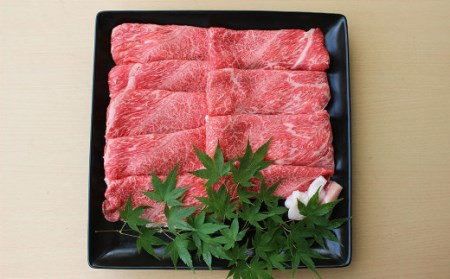  堀ちゃん牧場 博多和牛 食べ比べ 定期便 セット 牛肉 スライス