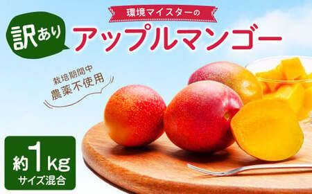 環境マイスターのアップルマンゴー 1kg