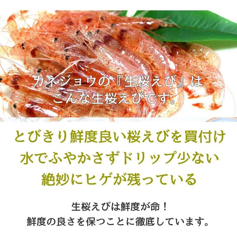 食品 兼上 生桜えび 100g×5袋セット 駿河湾産 由比 静岡 冷凍 さくらえび サクラエビ カネジョウ