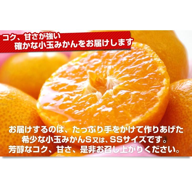 愛媛県より産地直送 JAえひめ南 玉津共選場 玉津の赤箱みかん 小玉 Sから2Sサイズ 5キロ 送料無料 蜜柑 みかん