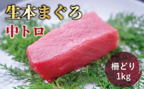 生本マグロ 中トロ 700g（柵どり）